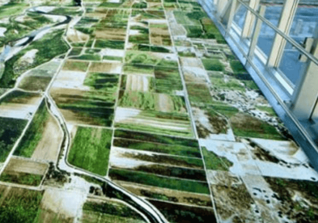 zielony dywan imitujący krajobraz pól widziany z lotu ptaka